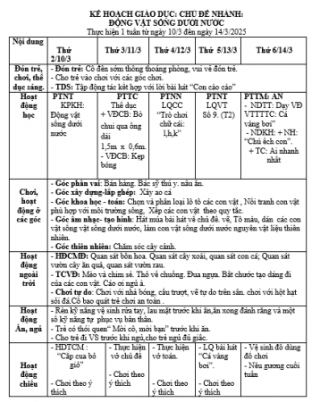 kht 25  hằng