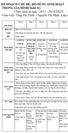 Tuần 11