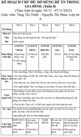 Tuần 8