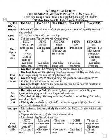 KẾ HOẠCH TUẦN 13, LỚP TRẺ E