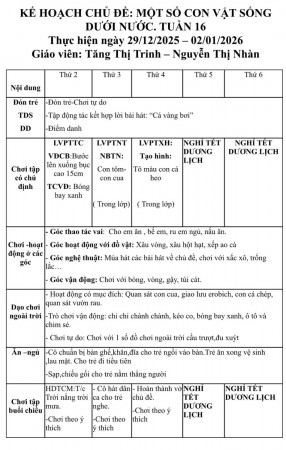 Tuần 16
