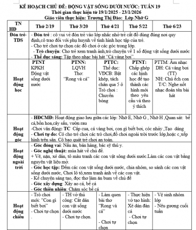 kht 19 đào